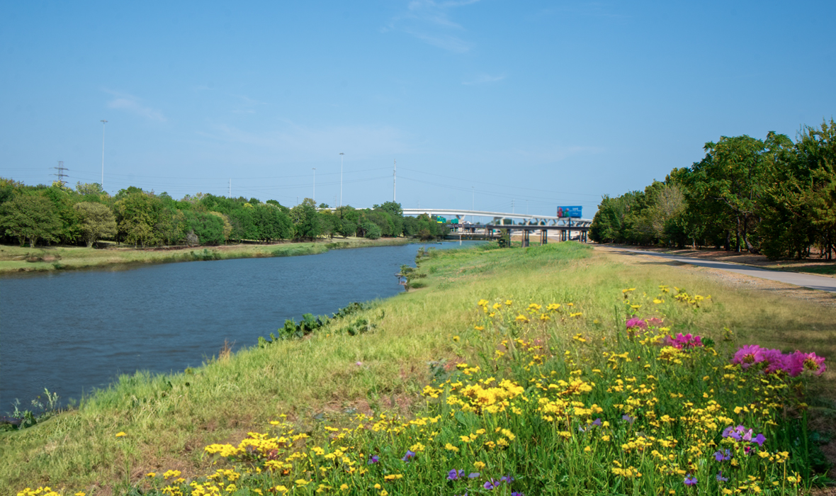 White Oak Bayou Park looking north from UH Downtown