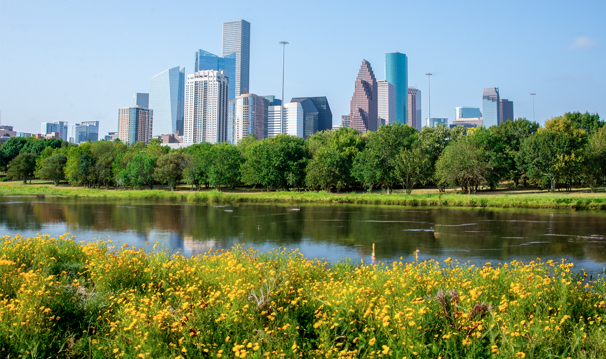 White Oak Bayou Park looking towards downtown